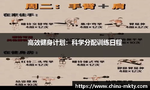 mk体育官方网站